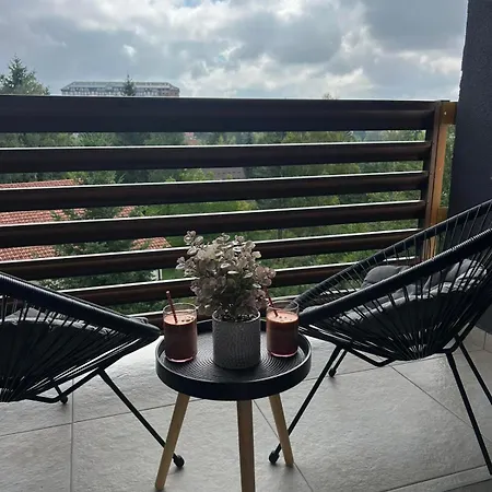 Διαμέρισμα Ricoletta *